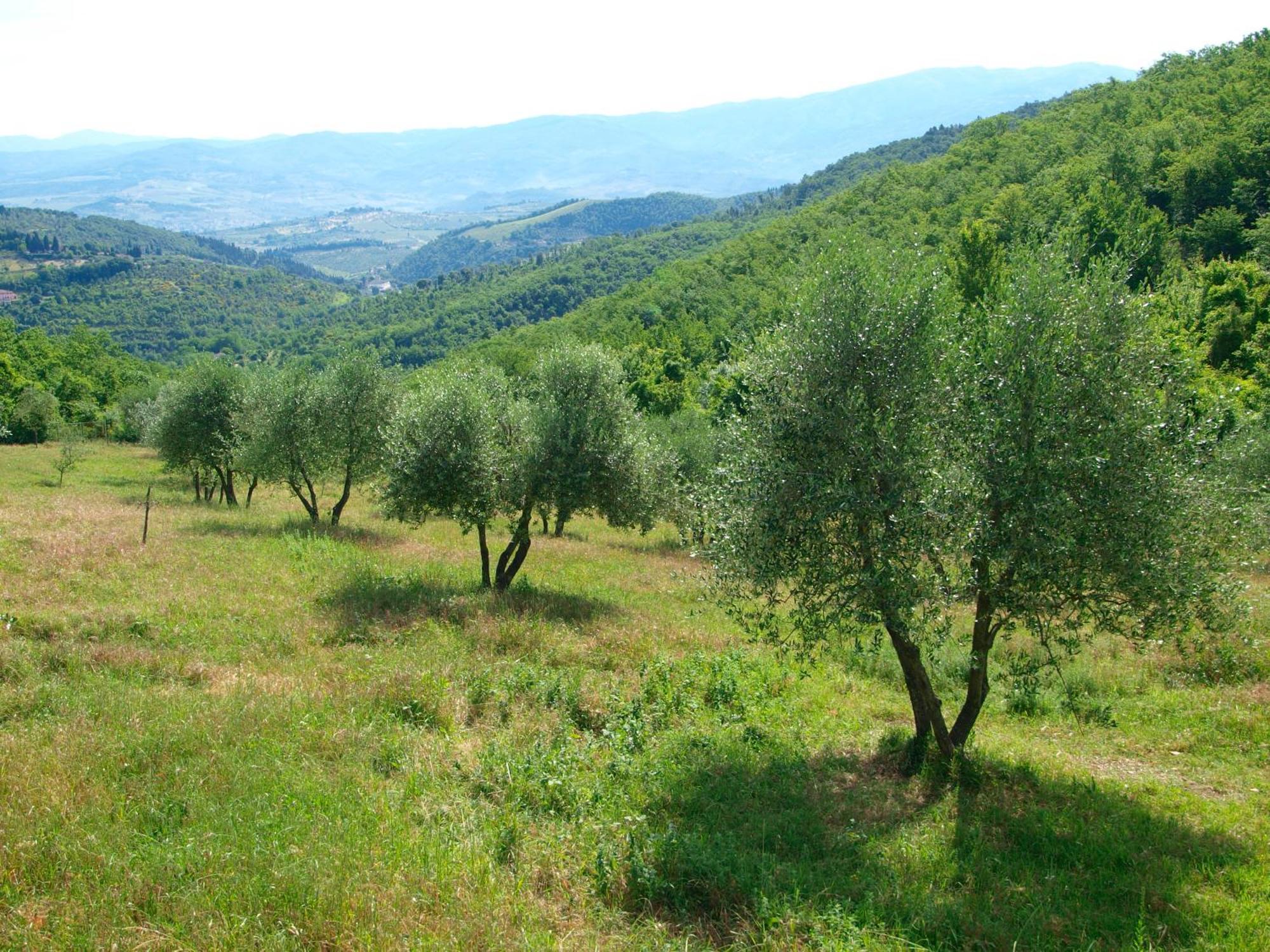 Casignano Bagno a Ripoli Quarto foto
